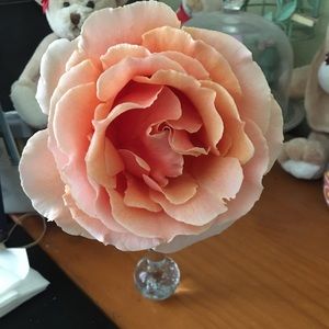 Please feel free to make an offer